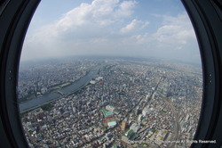 IMGP3856