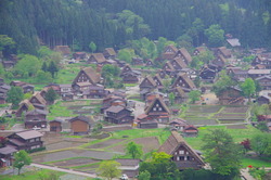IMGP3183