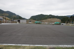 IMGP2581