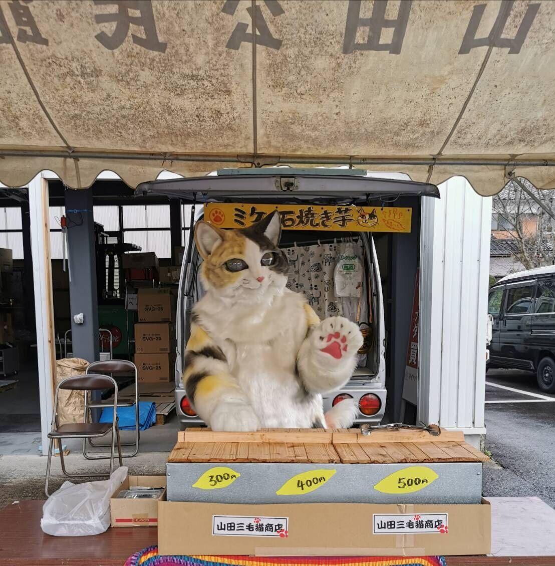 9日、雪から曇り。誕生日だよ。 : 猫のラーメン屋さん、今は焼き芋屋