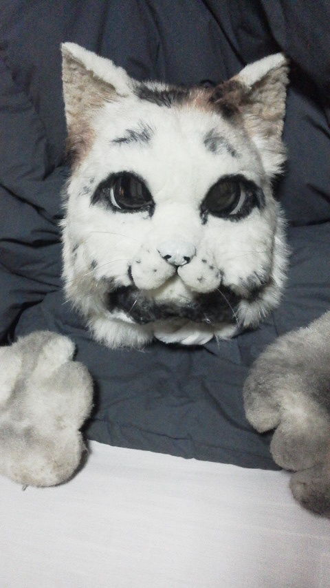 猫のラーメン屋さん 今は焼き芋屋さん 山田三毛猫 整形疑惑か これ