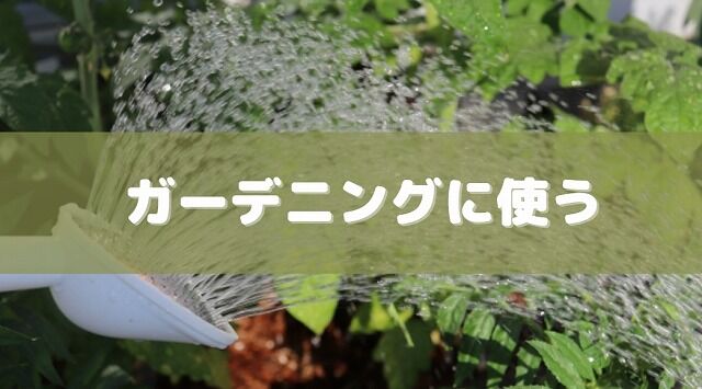 余った炭酸水の活用法⑤植物、ガーデニングに使う