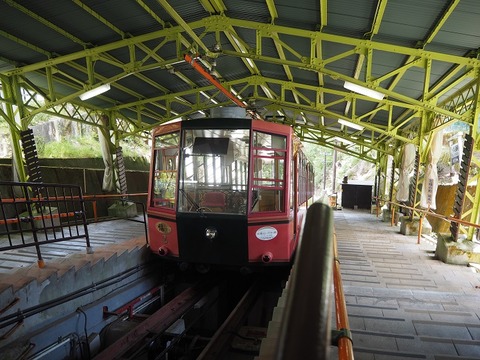 P6030243