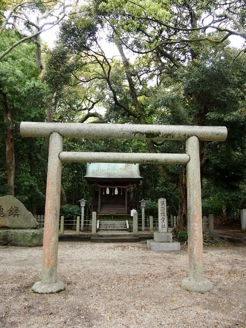 P4248902 (640x480)