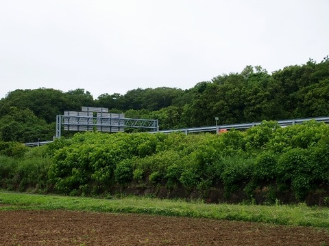P6054010 (640x480)