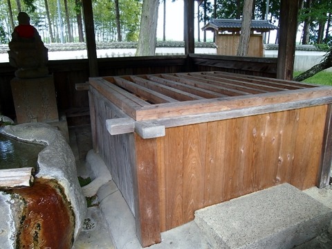 P5172727 (640x480)