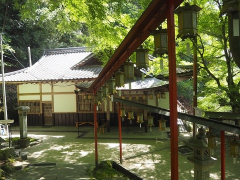 P6030233