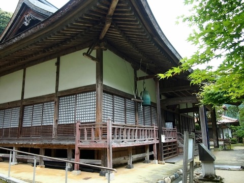 P5283620 (640x480)