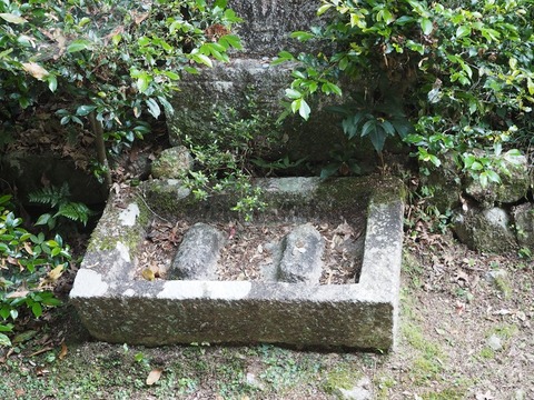 P6241303