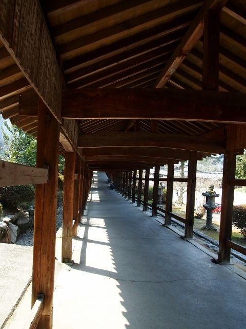P3056919 (640x480)