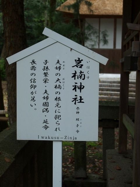 P4248892 (640x480)