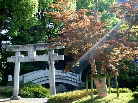 P5172762 (640x480)