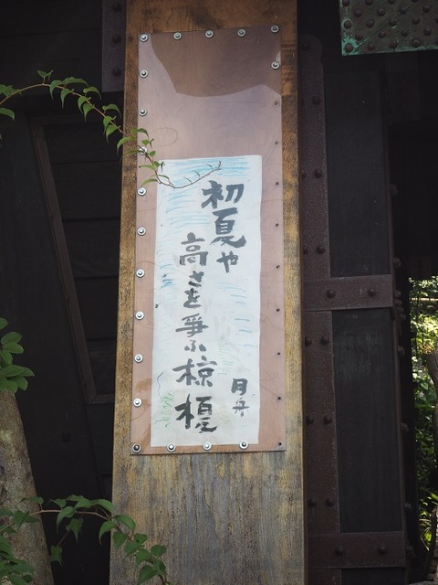 P6170802
