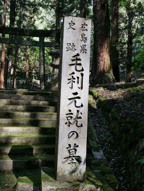 P1010573