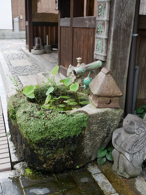 P1020393