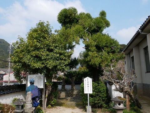 P1050298