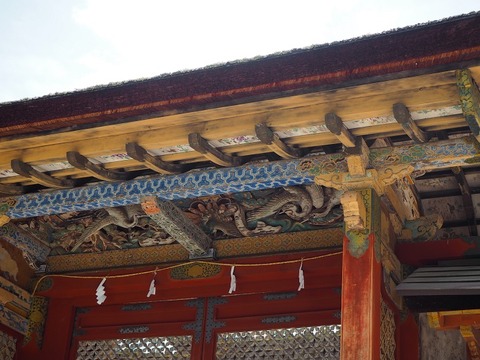 P6030253