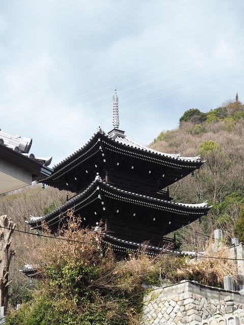 P3110974