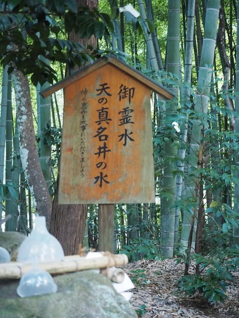 P9070128