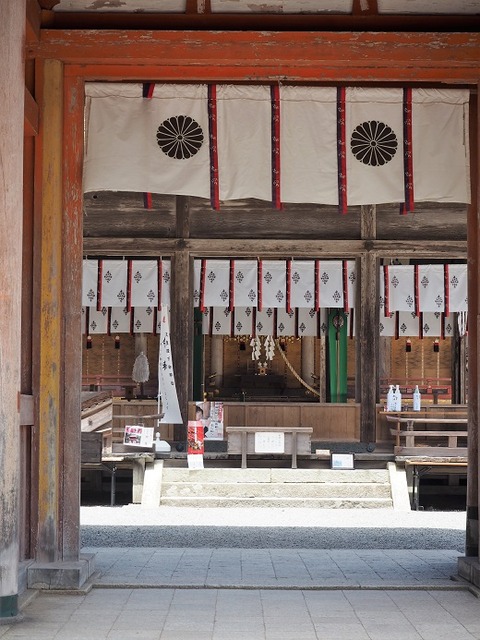 P6030283