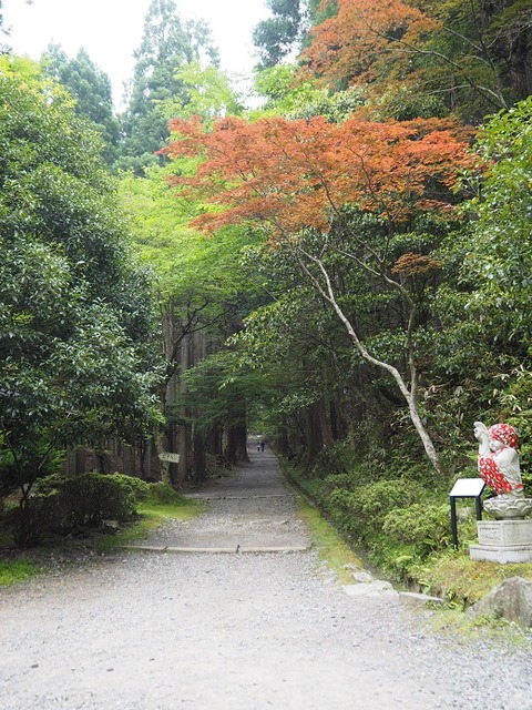 P6020122