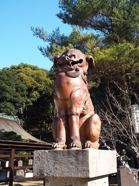 P1031489