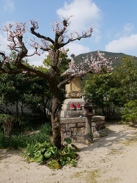 P1050296
