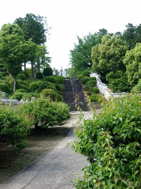 P5172719 (640x480)