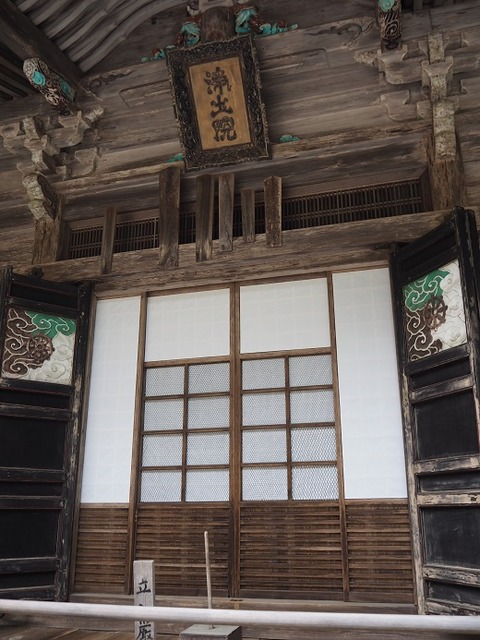 P6020205