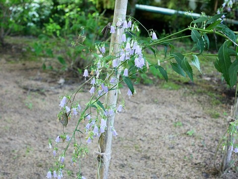 P1010902