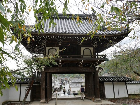 P1020411