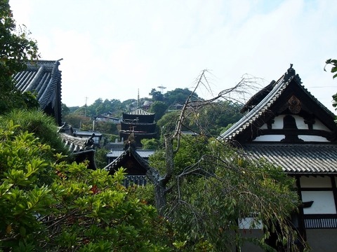 天寧寺 (9)