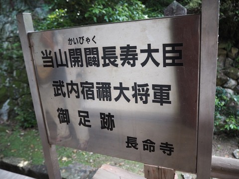 P6241304