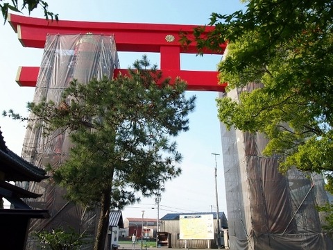 P4258963 (640x480)