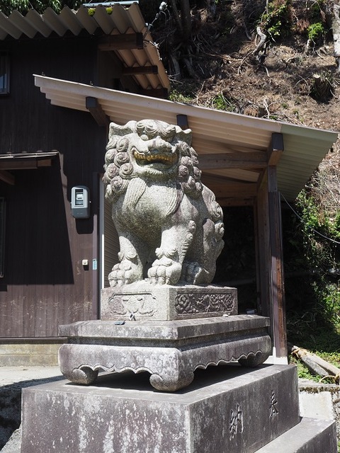 P6030225