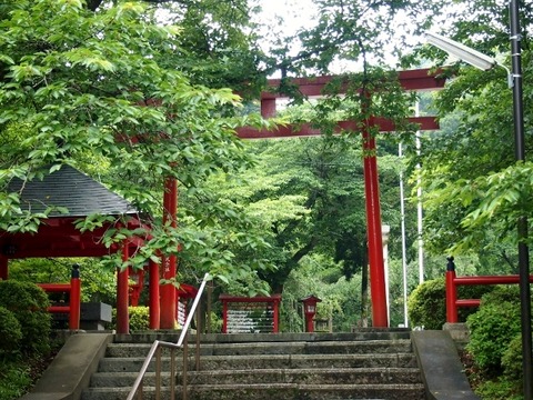 P5283633 (640x480)