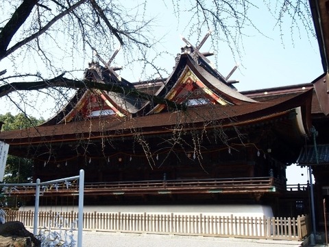 P3056915 (640x480)