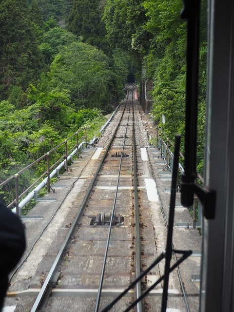P6020003