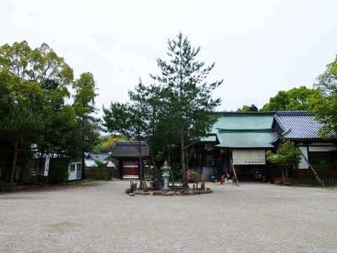 P4248885 (640x480)