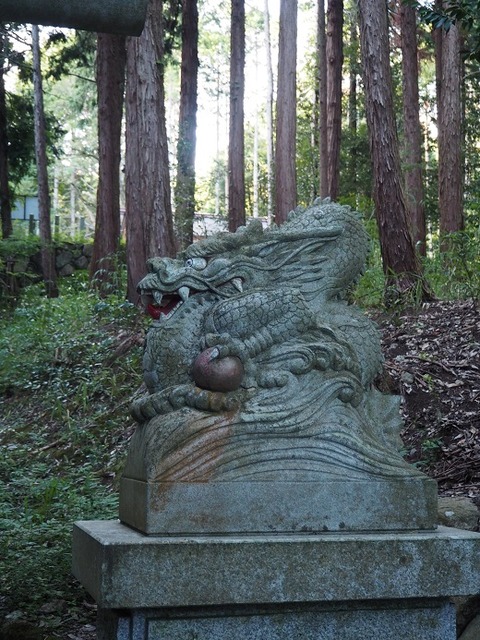 P9070125
