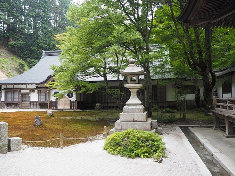 P6020207