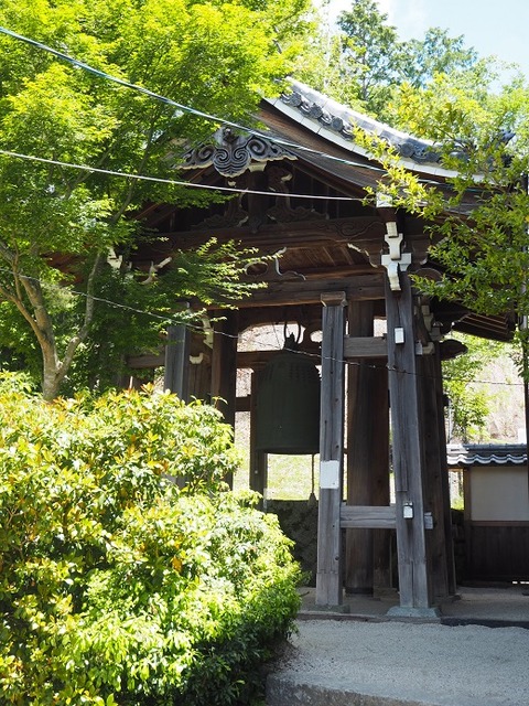 P6030232