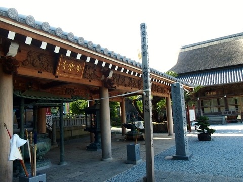P5172768 (640x480)