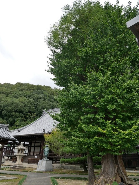 P1020399