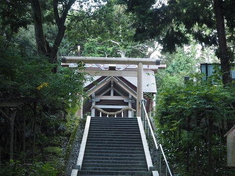 P9070131