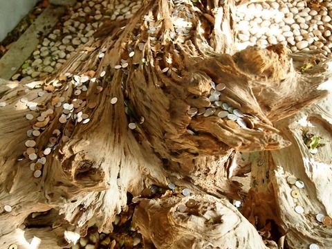 P4258980 (640x480)