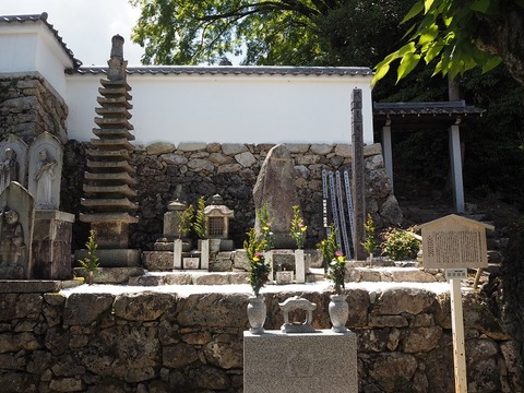P6030337