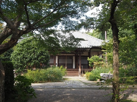 PA061245