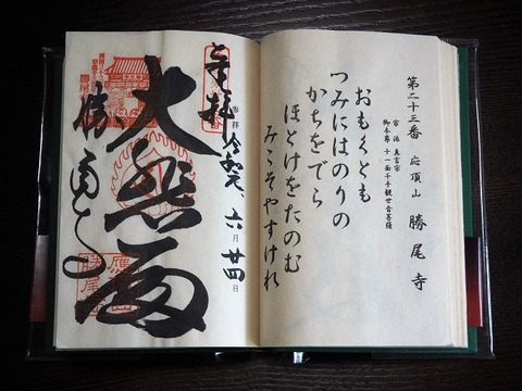 P9190454 (2)