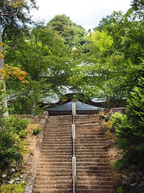 P9070013